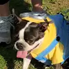 Jazmine Sutton - @jazmine.sutton5 - TikTok