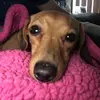 Jazzmine Smith - @jazzmine_girl - TikTok
