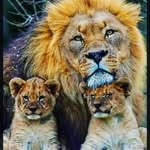 Rhonda Cole - @jazzylady12255 - Instagram