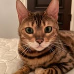 Jazzy - @jazzy____love - Instagram