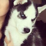 Jasmine 😜 - @_jazzy_rodriguez - Instagram