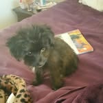 jazzy nitasha stanley - @jazzynitasha - Instagram
