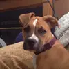 jazzythomas - @jazzythomas1 - TikTok