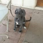 Jb Brooks - @steelers1075 - Instagram