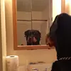 jbrooks_3 - @jbrooks_3 - TikTok