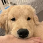 JB Chang - Facebook