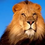Franko JB - Facebook