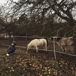 @jbgill_ - Instagram