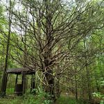 Jon Napier - @j.bnapier76 - Instagram