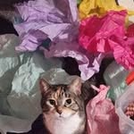 JB Shepard - @j.b_shepard - Instagram
