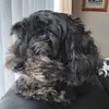 JC Bradley - @jc.bradley1 - TikTok