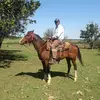 jccelestinoce - @jccelestinoce - TikTok