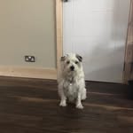 Julie Curran - @jc.curran - Instagram