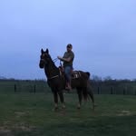 Joe Curtis - @jccur_tis - Instagram