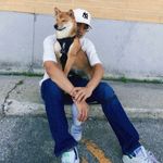 JC Dizon - @jc_mustard - Instagram