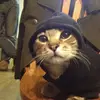 ︎︎ - @jcfernandez.s - TikTok
