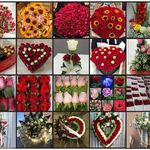 Jc Flowers - @floreria_delbosque - Instagram