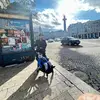jcfrancis28 - @jcfrancis28 - TikTok