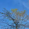 Jc Hernandez - @jc.hernandez27 - TikTok