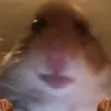 Jesus Castro - @jdcastro.o - TikTok
