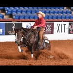 𝗝𝗗 & 𝗖𝗵𝗲𝗹𝘀𝗶 𝗝𝗼𝗵𝗻𝘀𝗼𝗻 - @jdjohnsonperformancehorses - Instagram