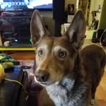 JD Johnson - @jerdajewler - Instagram