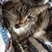 JD Jones - Facebook