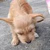Jasmine - @jd.kemp80 - TikTok