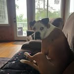 jon - @jdmorse19 - Instagram