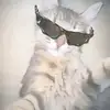 JD Mossy 2 👑👑 - @jd.mossy.2 - TikTok