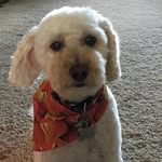JD Nelson - @jdnelson71 - Instagram