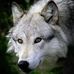 Jd Palmer - Facebook