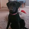 jenna.palmer11 - @jdpalmer - TikTok