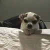 jdsullivan0122 - @jdsullivan0122 - TikTok