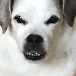 Jdwalls - @chuckiesfriend - Instagram