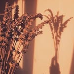 Jea lim - @jealim2 - Instagram