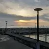 Jealim - @jealim27 - TikTok