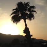 Beverly Jean Addison - @beverlyjeanaddison - Instagram
