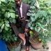 Jean Adolphe - Facebook