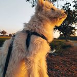 Jean Carlos Adrian - @jean_adrian9 - Instagram