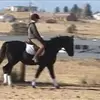 Jean Agnew - @jean.agnew - TikTok