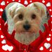 Jean Alston - Facebook