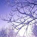 Daphne jean armas - Facebook