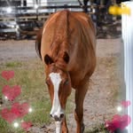 Jean Avella Overstreet - @jean.a.overstreet - Instagram