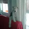 Jean Avellaneda158 - @jeanavellaneda069 - TikTok