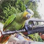 Jean Bard - @jean.bard.14661 - Instagram