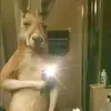 Marcos Barrera - @jean_barrera.72 - TikTok