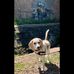 Jean Bateman - Facebook