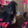 jeanbaughmanmille - @jeanbaughmanmille - TikTok