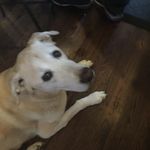 Jean Luc William Beaudoin - @jeanlucwilliam - Instagram